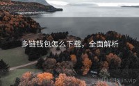 多链钱包怎么下载，全面解析